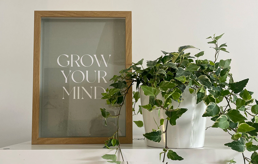A potted plant stands in front of a wooden frame that reads 'grow your mind'.